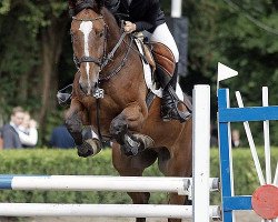 jumper Barthez 2 (KWPN (Royal Dutch Sporthorse), 2006, from Sable Rose)