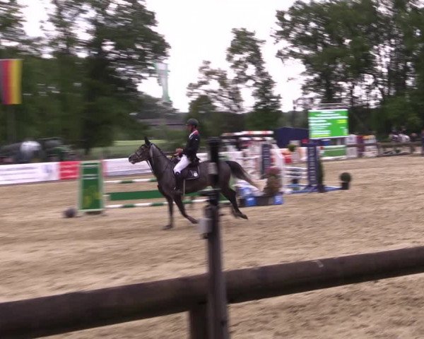 Reitturnier Rhede 2022