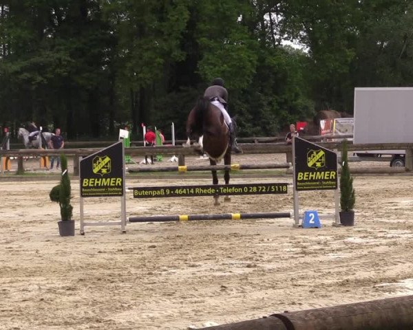 Reitturnier Rhede 2022