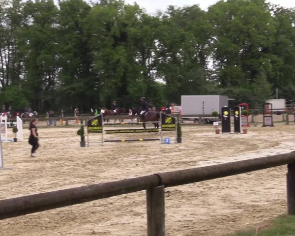 Reitturnier Rhede 2022
