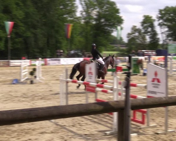 Reitturnier Rhede 2022