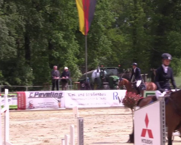 Reitturnier Rhede 2022