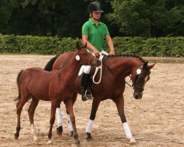broodmare Kinley (German Riding Pony, 1998, from Kaiserjaeger xx)