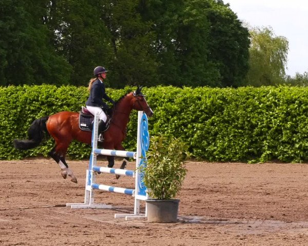 Reitturnier Lentzke - Reitanlage Krehl 2022