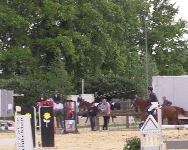Reitturnier Rhede 2022