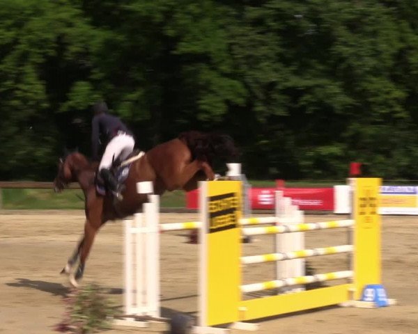 Reitturnier Rhede 2022
