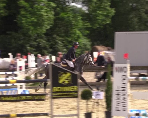 Reitturnier Rhede 2022