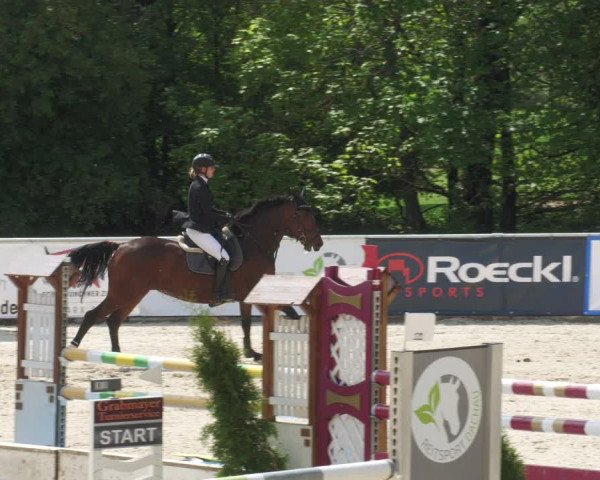 Reitturnier Karlsfeld/Obb. 2022