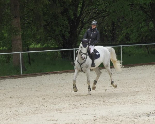 Reitturnier Karlsfeld/Obb. 2022