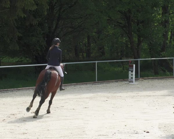 Reitturnier Karlsfeld/Obb. 2022