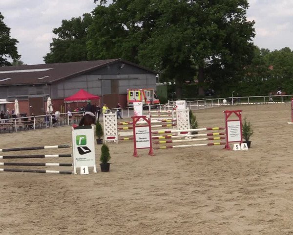 Reitturnier Ostenfelde-Vornholz 2022