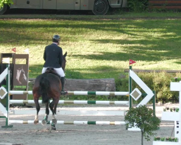 Reitturnier Tübingen 2022