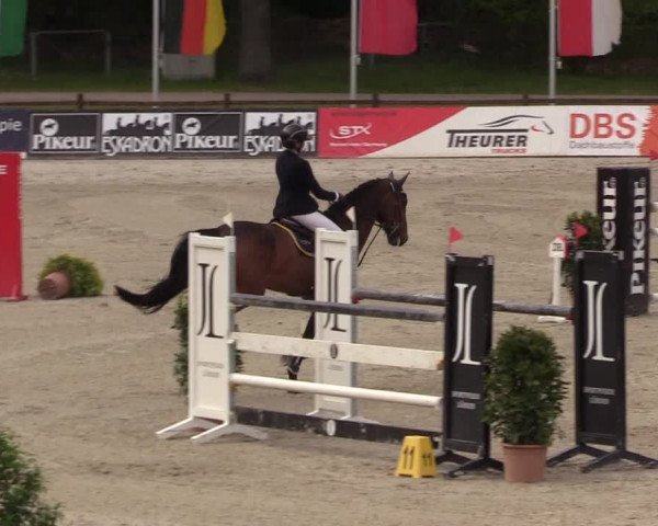 Reitturnier Westergellersen 2022