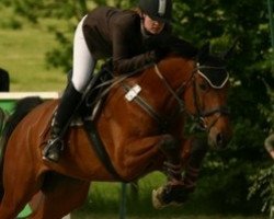 horse Preston-Partitur (Westphalian, 1999, from Pavarotti van de Helle)
