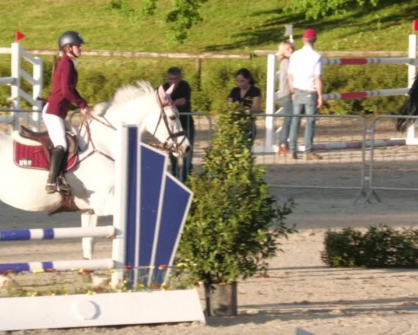 Reitturnier Tübingen 2022