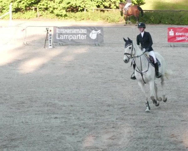 Reitturnier Tübingen 2022