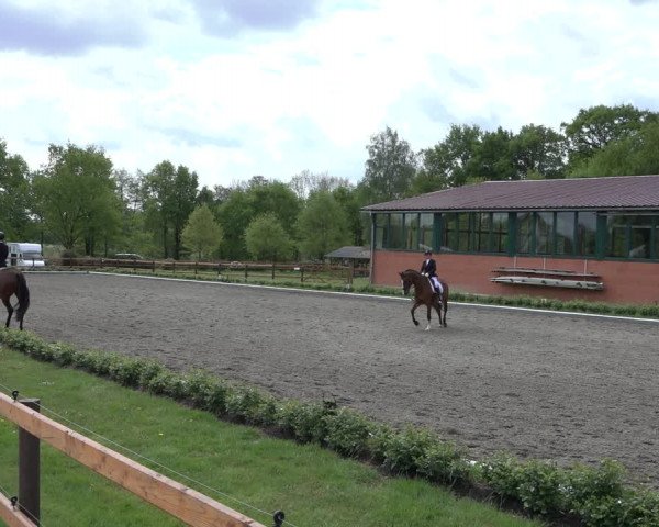 Reitturnier Schwanewede 2022