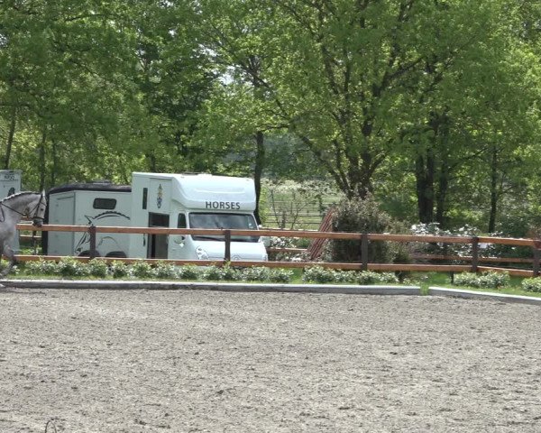 Reitturnier Schwanewede 2022
