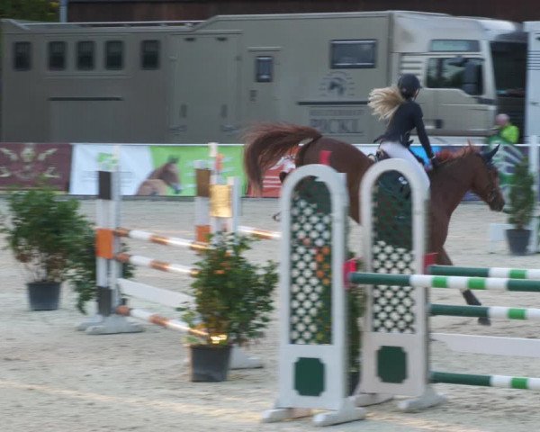 Reitturnier Karlsfeld/Obb. 2022