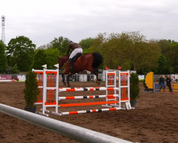 Reitturnier Lentzke - Reitanlage Krehl 2022