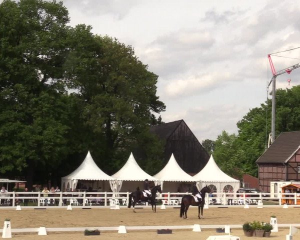 Reitturnier Münster-Angelmodde 2022