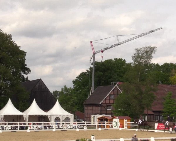 Reitturnier Münster-Angelmodde 2022