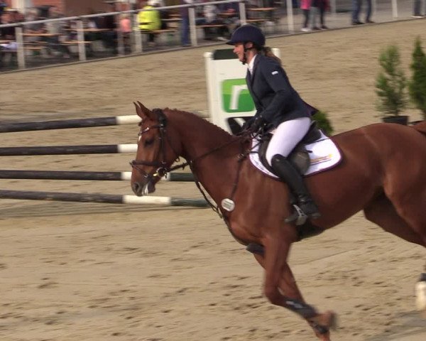 Reitturnier Ostenfelde-Vornholz 2022