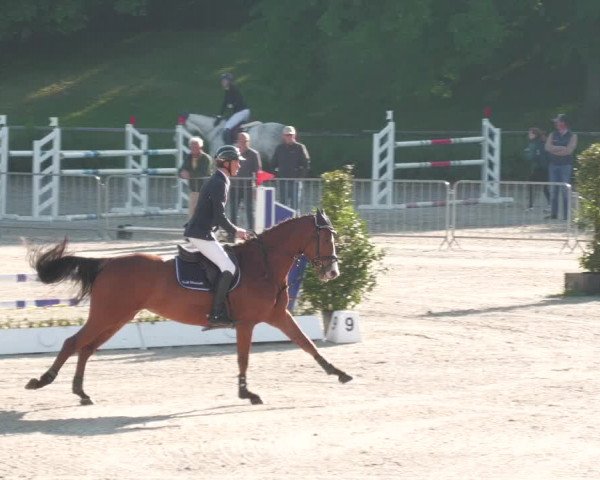 Reitturnier Tübingen 2022
