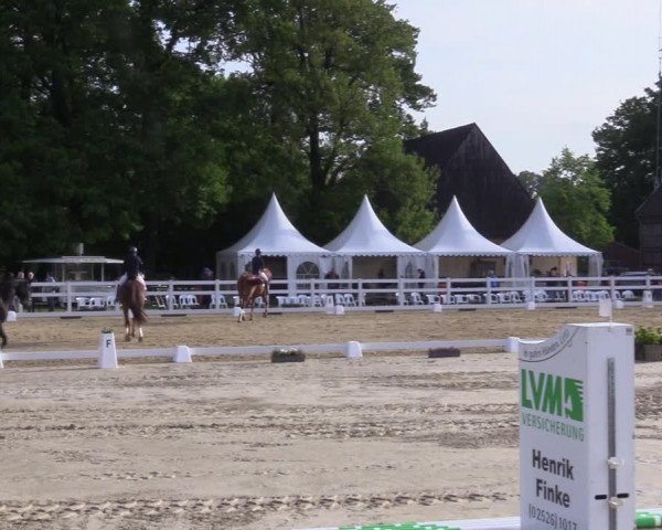 Reitturnier Münster-Angelmodde 2022