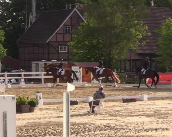 Reitturnier Münster-Angelmodde 2022