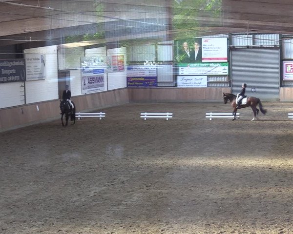 Reitturnier Rhede 2022