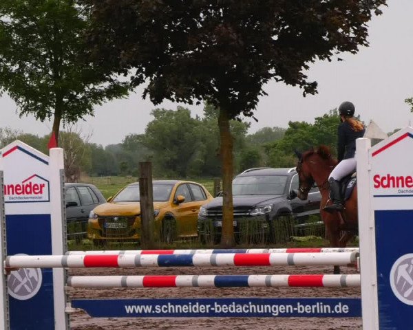 Reitturnier Lentzke - Reitanlage Krehl 2022