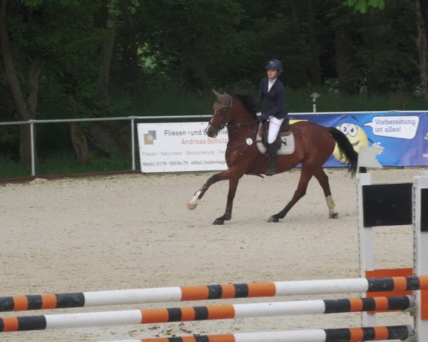Reitturnier Karlsfeld/Obb. 2022