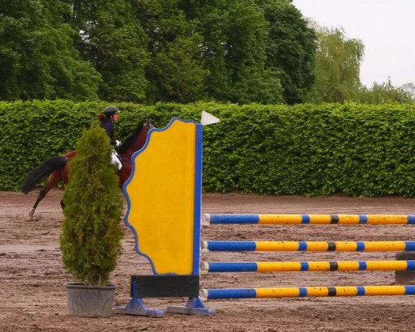 Reitturnier Lentzke - Reitanlage Krehl 2022