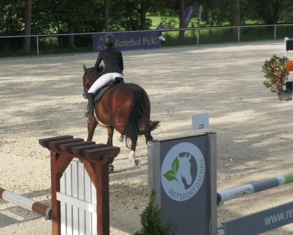 Reitturnier Karlsfeld/Obb. 2022