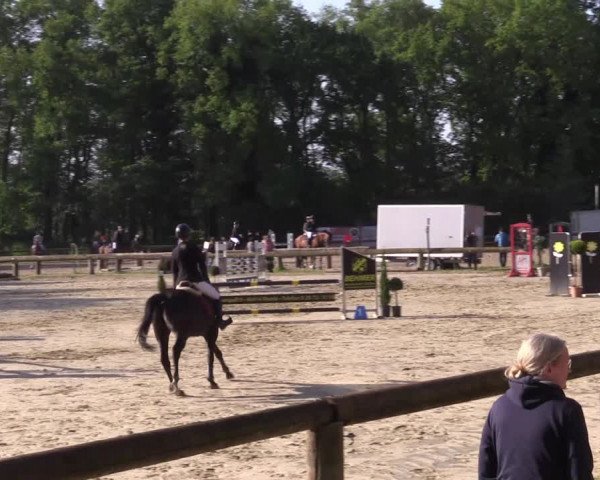 Reitturnier Rhede 2022