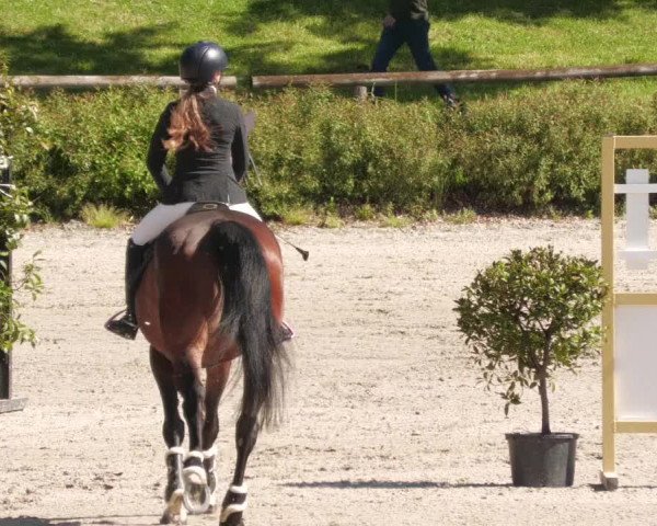 Reitturnier Tübingen 2022