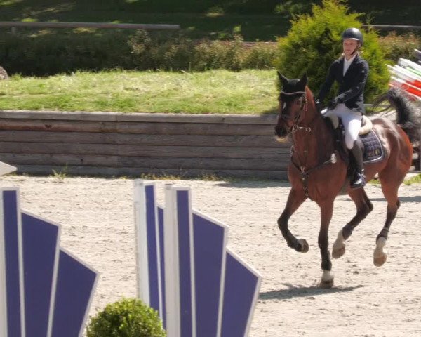 Reitturnier Tübingen 2022