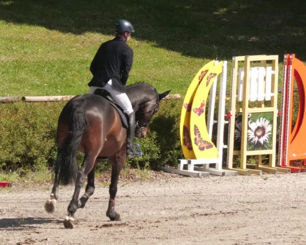 Reitturnier Tübingen 2022