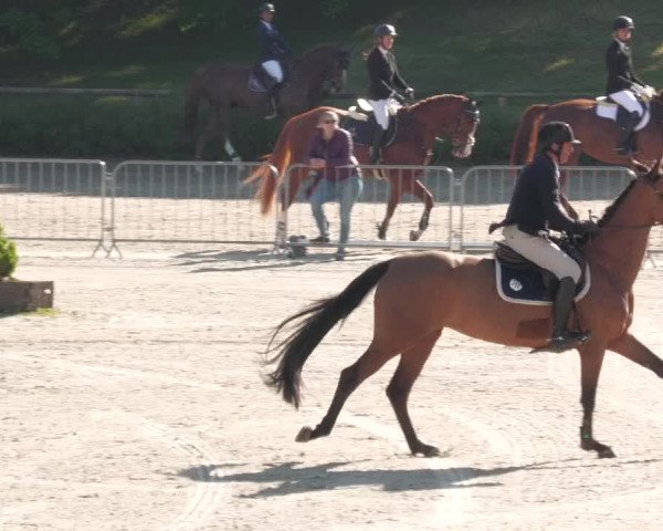 Reitturnier Tübingen 2022