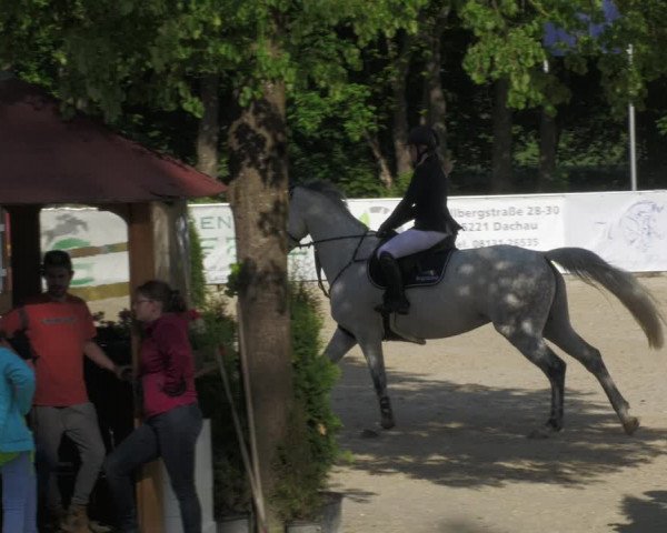 Reitturnier Karlsfeld/Obb. 2022