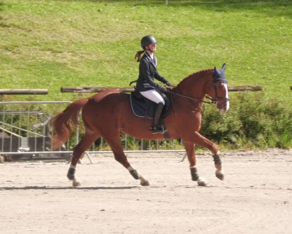 Reitturnier Tübingen 2022