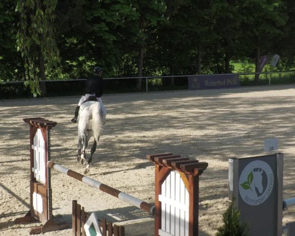 Reitturnier Karlsfeld/Obb. 2022