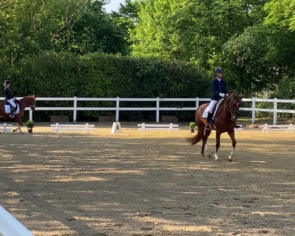 Video of het Askaban