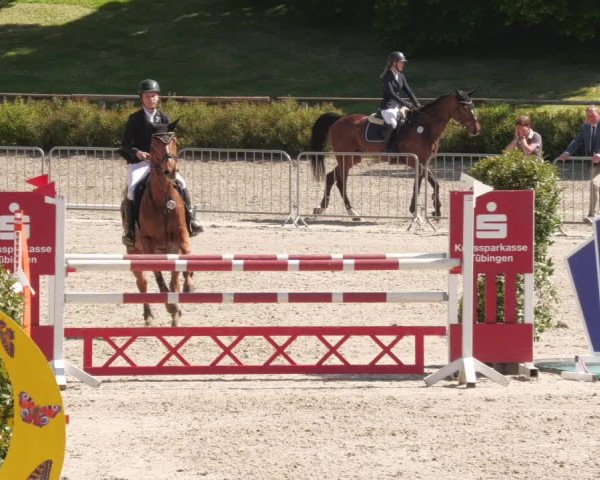Reitturnier Tübingen 2022