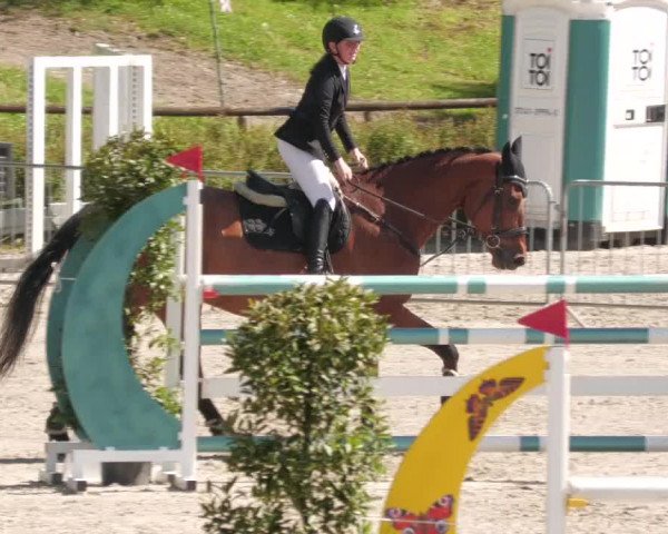 Reitturnier Tübingen 2022