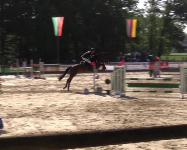Reitturnier Rhede 2022