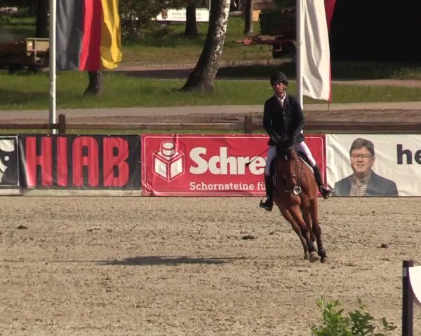 Reitturnier Westergellersen 2022