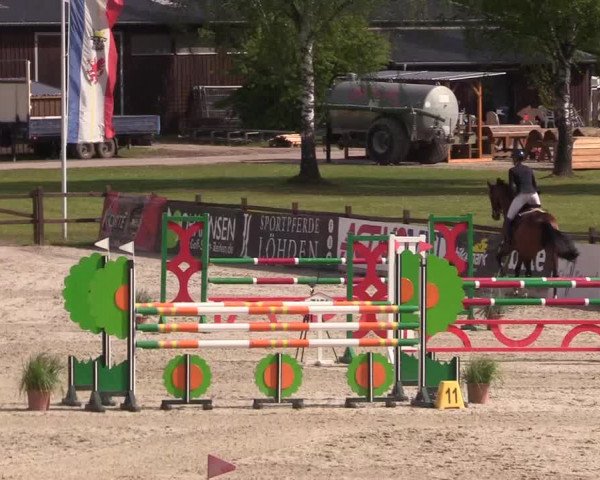 Reitturnier Westergellersen 2022