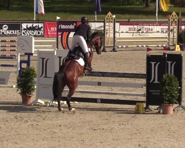 Reitturnier Westergellersen 2022